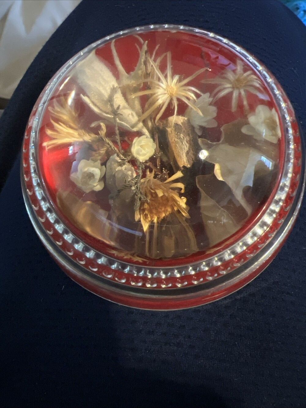 Paperweight Botanical Glass Round Dome Dried Flowers Floral Mid Century VTG